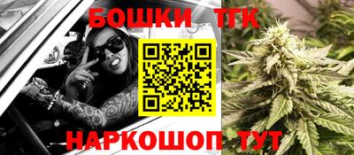 тгк Партизанск