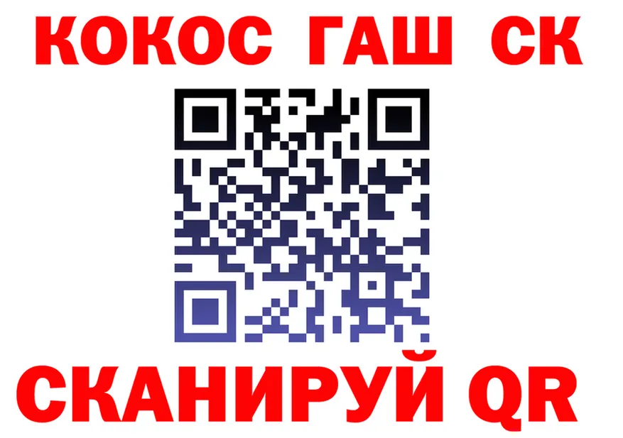 АМФ Premium ТОР shop hydra Северодвинск