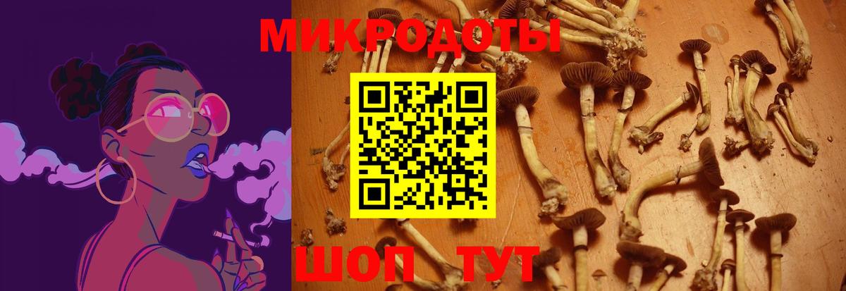 Псилоцибиновые грибы GOLDEN TEACHER Северодвинск