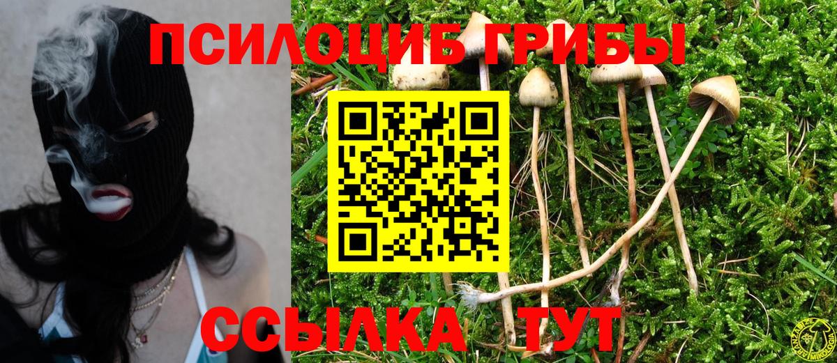 купить наркотик  Псилоцибиновые грибы GOLDEN TEACHER  Вход с VPN  Северодвинск 